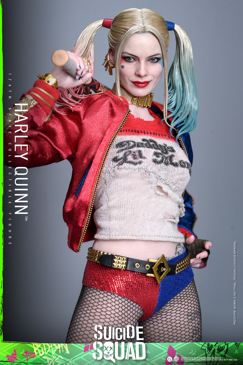 Load image into Gallery viewer, Hot Toys - Suicide Squad - Harley Quinn

