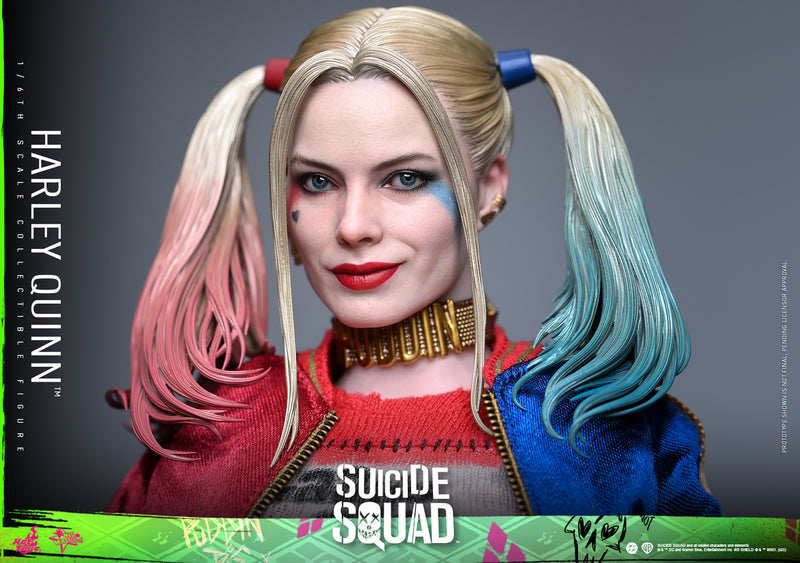 Load image into Gallery viewer, Hot Toys - Suicide Squad - Harley Quinn
