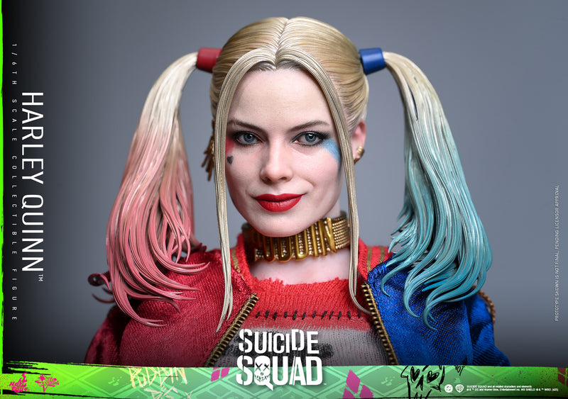 Load image into Gallery viewer, Hot Toys - Suicide Squad - Harley Quinn
