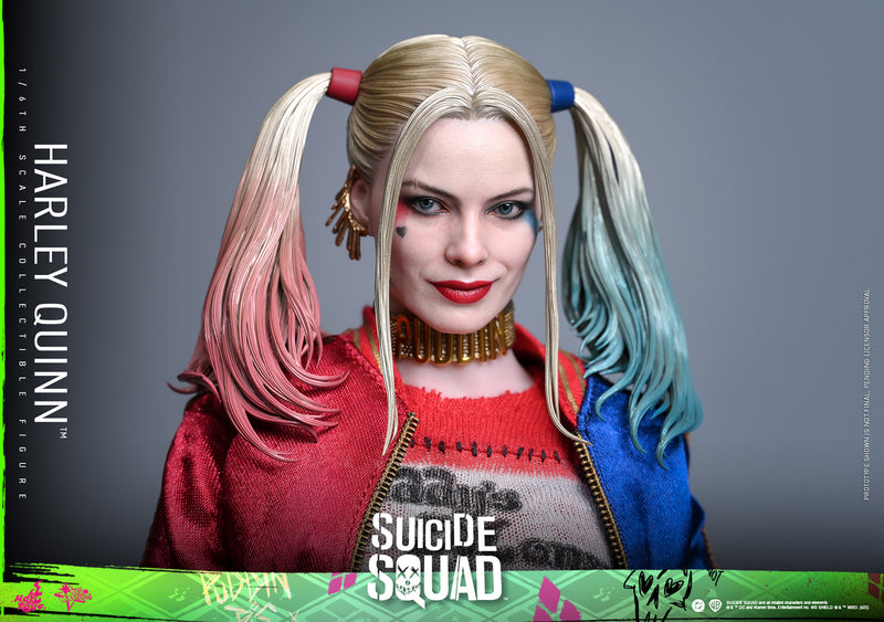 Load image into Gallery viewer, Hot Toys - Suicide Squad - Harley Quinn
