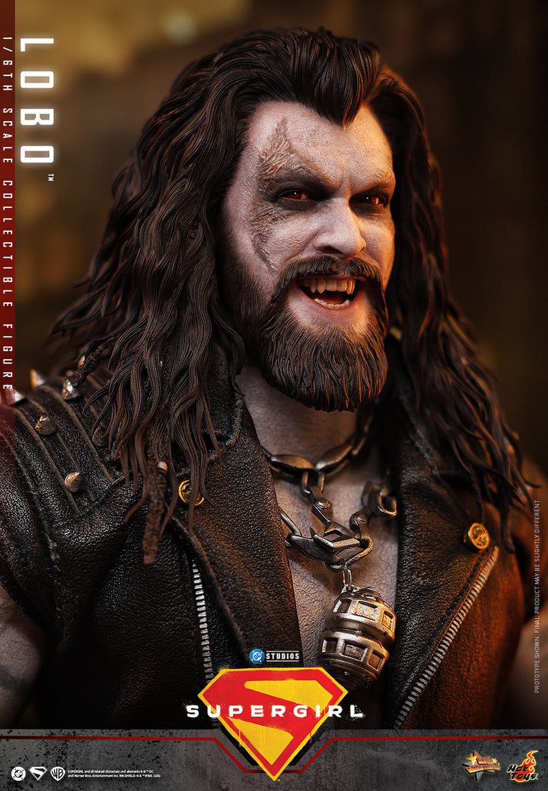 Load image into Gallery viewer, Hot Toys - Supergirl - Lobo (MMS890)
