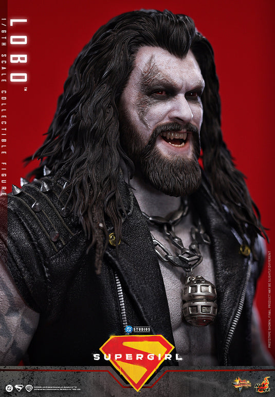 Hot Toys - Supergirl - Lobo (MMS890)