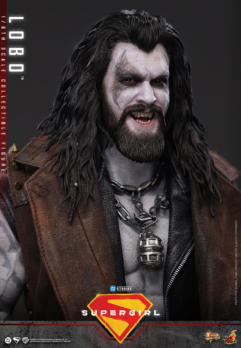 Load image into Gallery viewer, Hot Toys - Supergirl - Lobo (MMS890)
