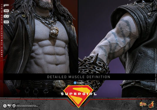 Hot Toys - Supergirl - Lobo (MMS890)