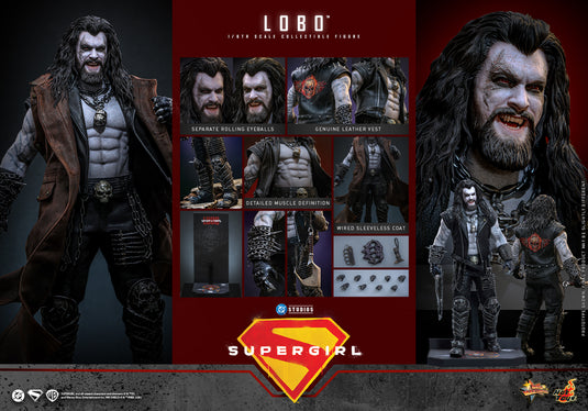 Hot Toys - Supergirl - Lobo (MMS890)