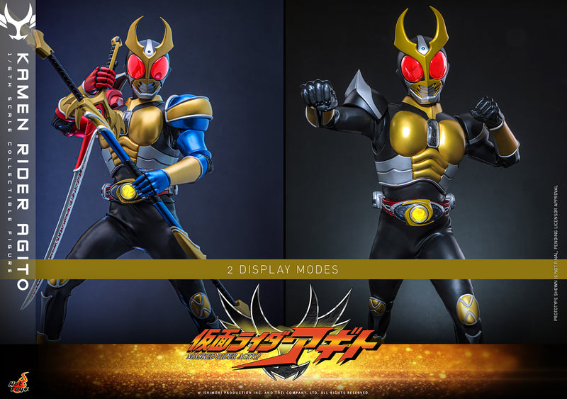 Load image into Gallery viewer, Hot Toys - Kamen Rider Agito - Kamen Rider Agito (TMS192)
