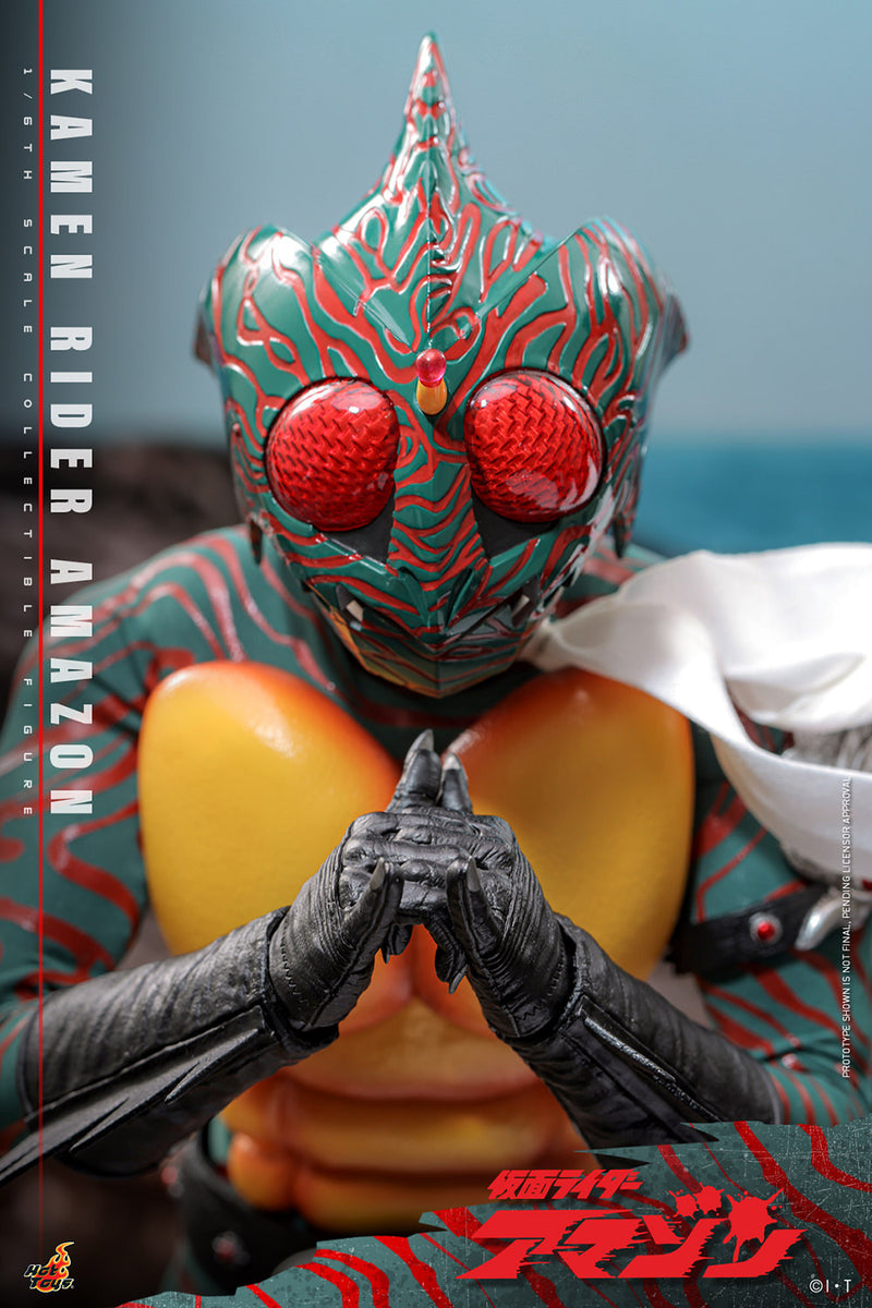 Load image into Gallery viewer, Hot Toys - Kamen Rider Amazon - Kamen Rider Amazon
