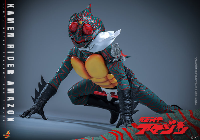 Load image into Gallery viewer, Hot Toys - Kamen Rider Amazon - Kamen Rider Amazon
