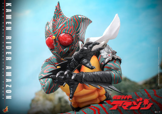 Hot Toys - Kamen Rider Amazon - Kamen Rider Amazon