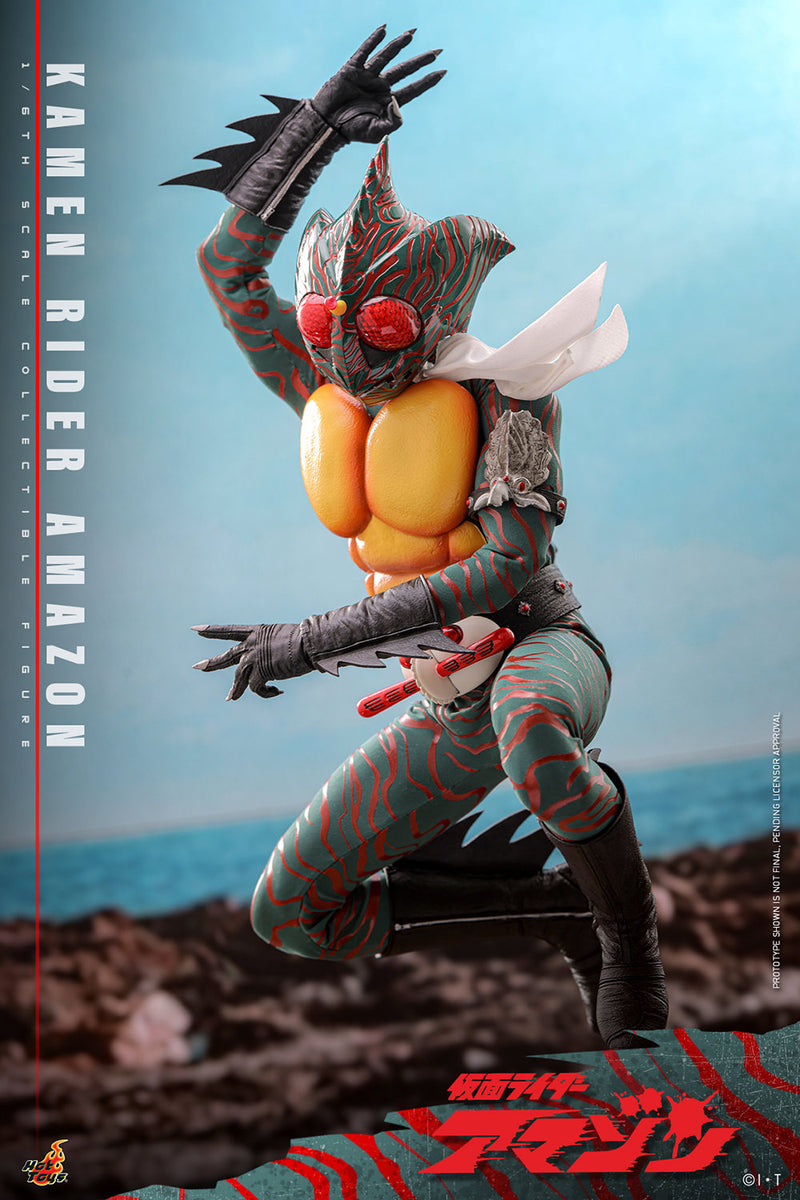 Load image into Gallery viewer, Hot Toys - Kamen Rider Amazon - Kamen Rider Amazon
