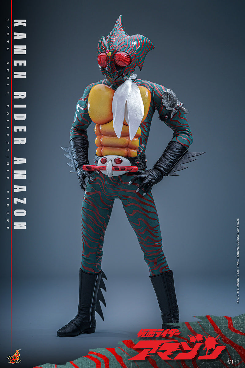 Load image into Gallery viewer, Hot Toys - Kamen Rider Amazon - Kamen Rider Amazon
