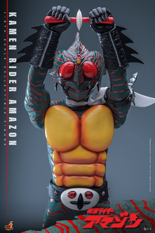 Hot Toys - Kamen Rider Amazon - Kamen Rider Amazon
