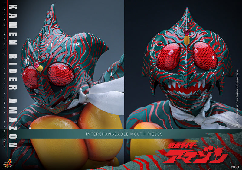 Load image into Gallery viewer, Hot Toys - Kamen Rider Amazon - Kamen Rider Amazon
