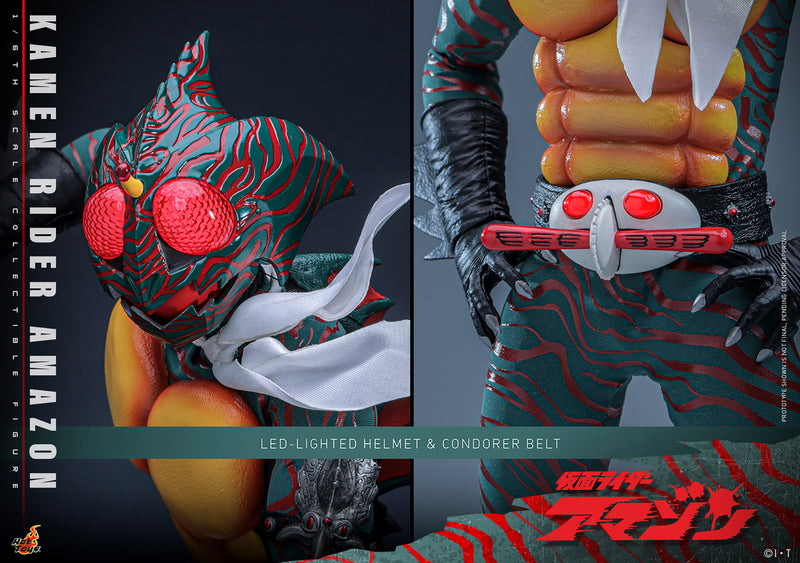 Load image into Gallery viewer, Hot Toys - Kamen Rider Amazon - Kamen Rider Amazon
