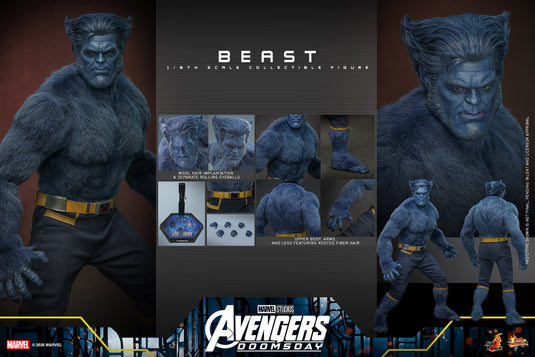 Hot Toys - Avengers Doomsday - Beast (MMS920)