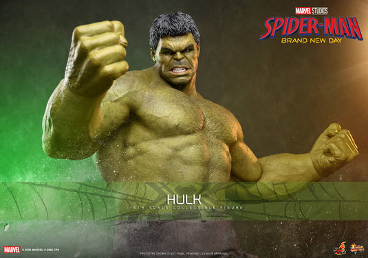 Hot Toys - Spider-Man Brand New Day - Hulk (MMS905)