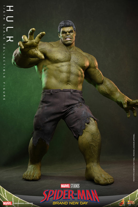Hot Toys - Spider-Man Brand New Day - Hulk (MMS905)