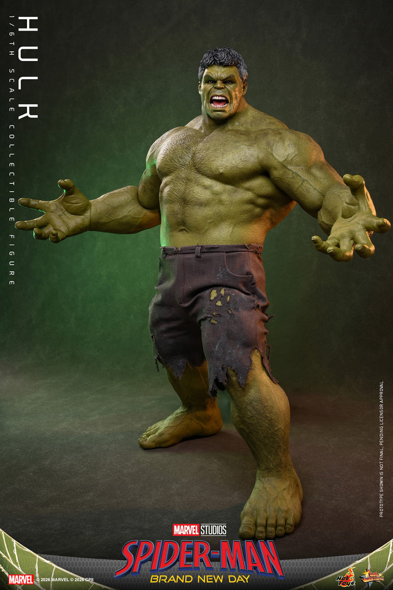 Load image into Gallery viewer, Hot Toys - Spider-Man Brand New Day - Hulk (MMS905)

