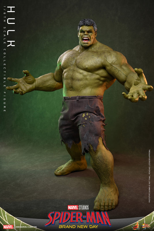 Hot Toys - Spider-Man Brand New Day - Hulk (MMS905)