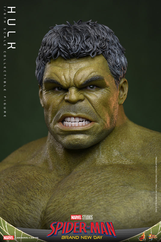 Hot Toys - Spider-Man Brand New Day - Hulk (MMS905)