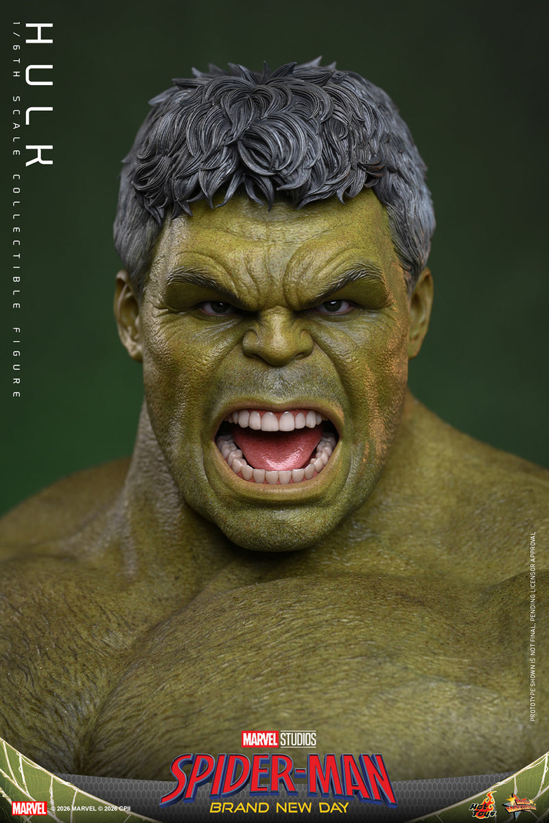 Load image into Gallery viewer, Hot Toys - Spider-Man Brand New Day - Hulk (MMS905)
