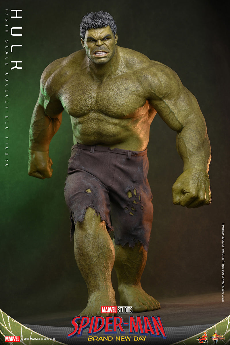 Load image into Gallery viewer, Hot Toys - Spider-Man Brand New Day - Hulk (MMS905)
