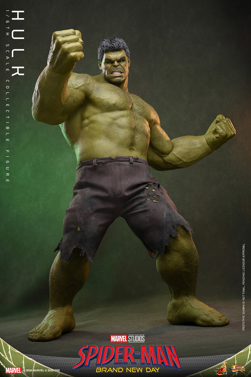 Load image into Gallery viewer, Hot Toys - Spider-Man Brand New Day - Hulk (MMS905)
