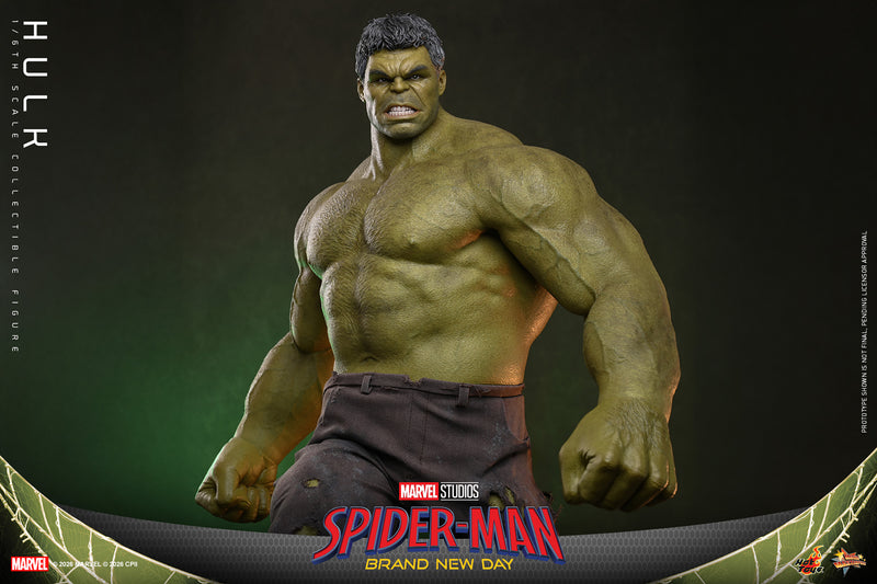Load image into Gallery viewer, Hot Toys - Spider-Man Brand New Day - Hulk (MMS905)
