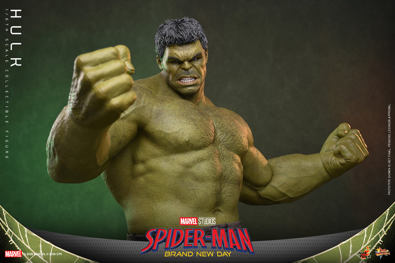 Load image into Gallery viewer, Hot Toys - Spider-Man Brand New Day - Hulk (MMS905)
