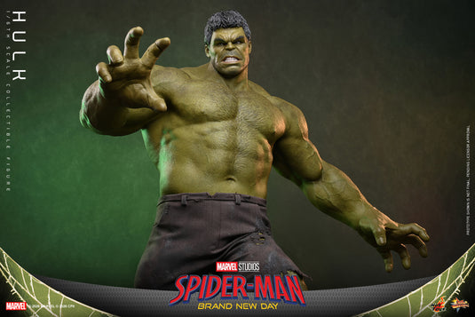 Hot Toys - Spider-Man Brand New Day - Hulk (MMS905)
