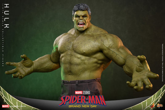 Hot Toys - Spider-Man Brand New Day - Hulk (MMS905)