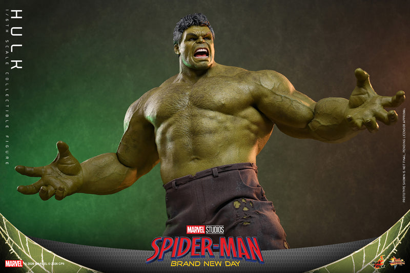 Load image into Gallery viewer, Hot Toys - Spider-Man Brand New Day - Hulk (MMS905)
