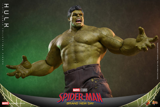 Hot Toys - Spider-Man Brand New Day - Hulk (MMS905)