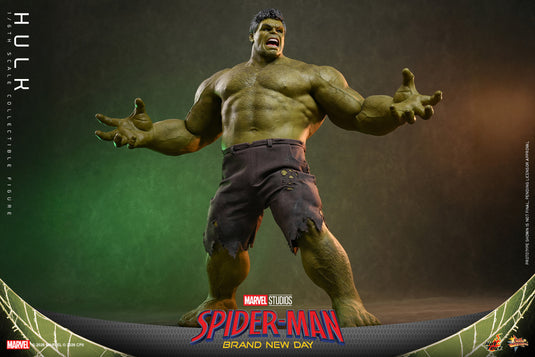 Hot Toys - Spider-Man Brand New Day - Hulk (MMS905)