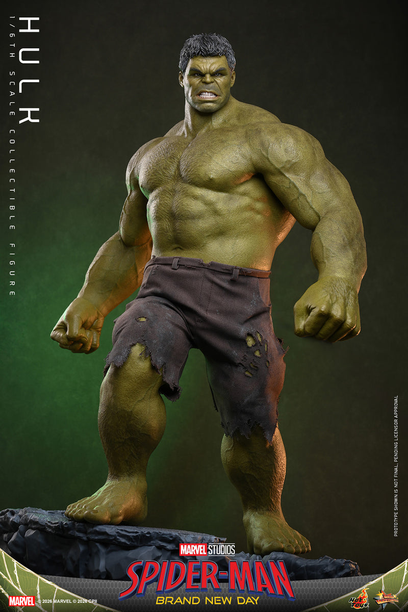 Load image into Gallery viewer, Hot Toys - Spider-Man Brand New Day - Hulk (MMS905)
