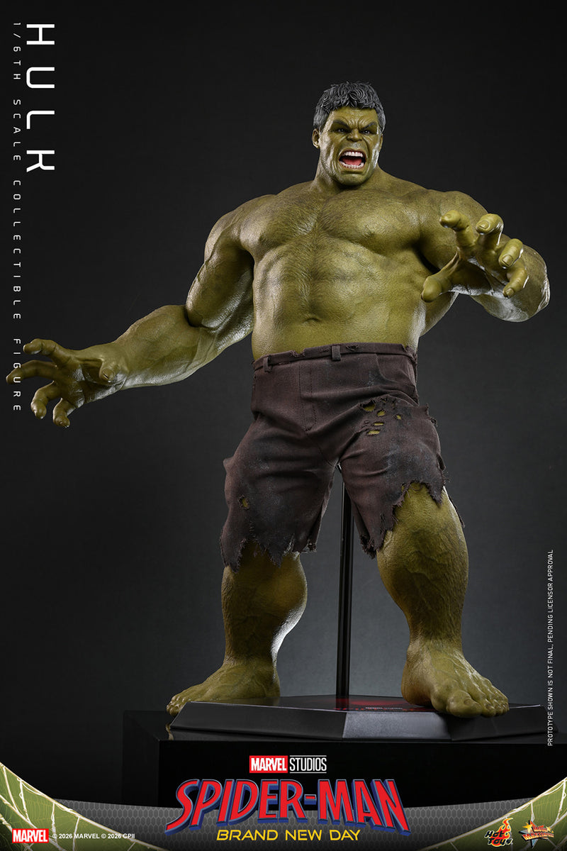 Load image into Gallery viewer, Hot Toys - Spider-Man Brand New Day - Hulk (MMS905)
