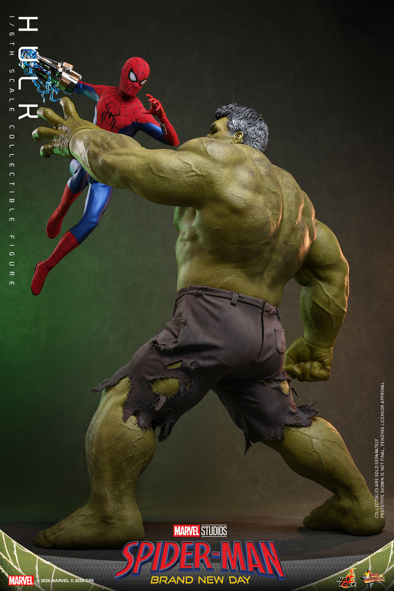 Load image into Gallery viewer, Hot Toys - Spider-Man Brand New Day - Hulk (MMS905)
