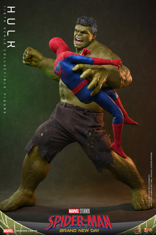 Hot Toys - Spider-Man Brand New Day - Hulk (MMS905)
