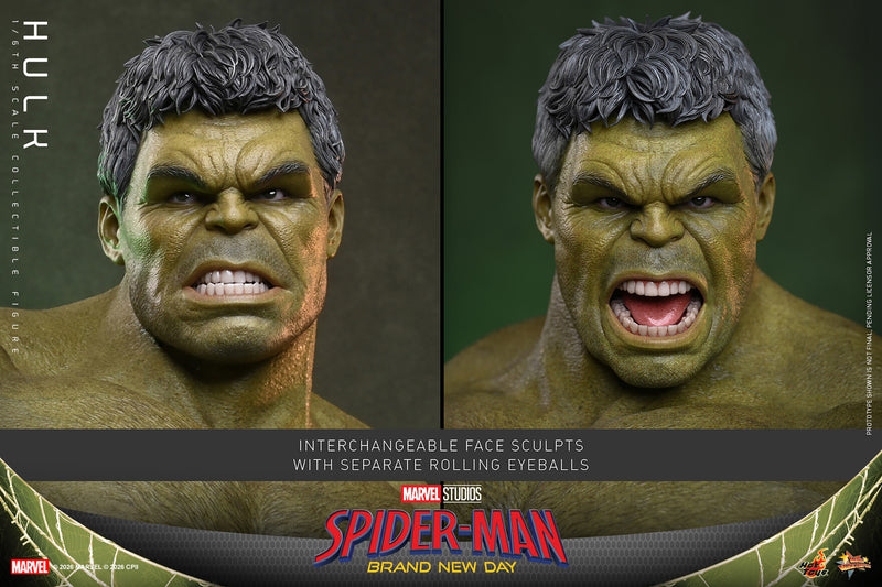 Load image into Gallery viewer, Hot Toys - Spider-Man Brand New Day - Hulk (MMS905)
