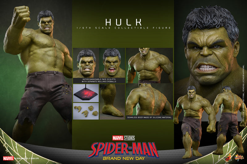 Load image into Gallery viewer, Hot Toys - Spider-Man Brand New Day - Hulk (MMS905)
