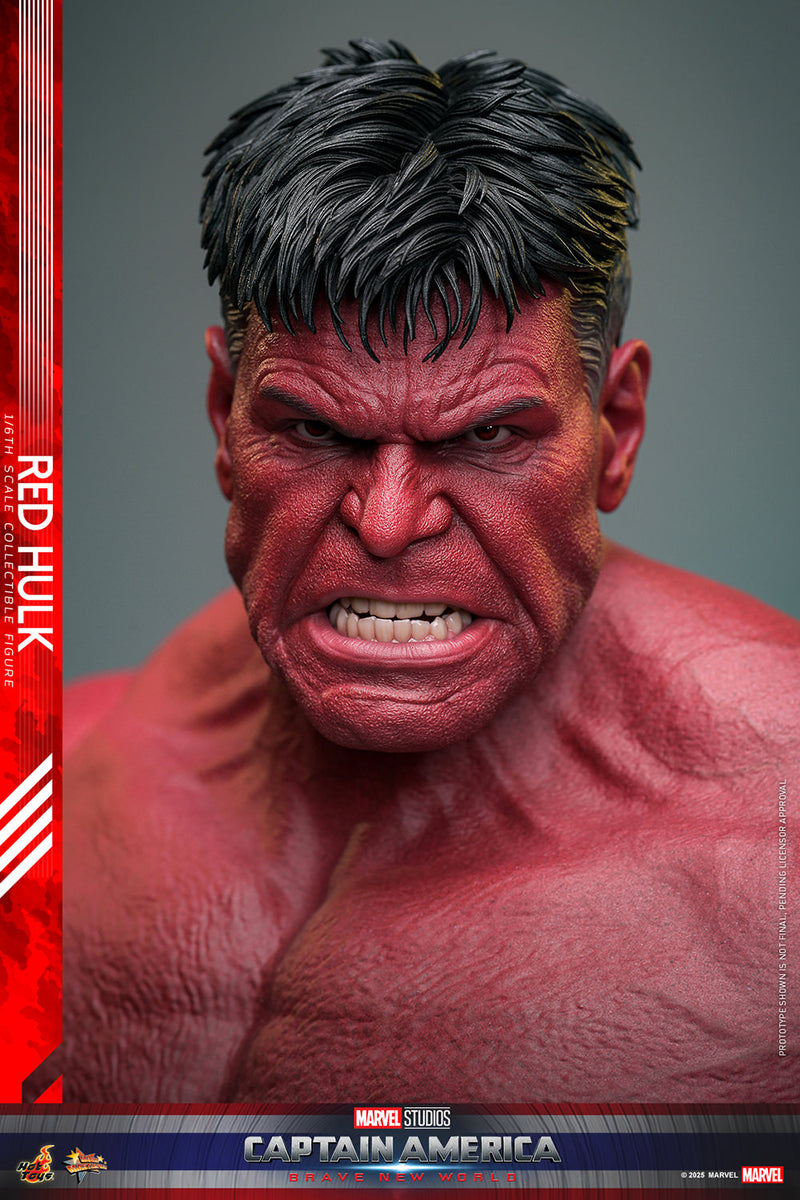 Load image into Gallery viewer, Hot Toys - Captain America: Brave New World - Red Hulk
