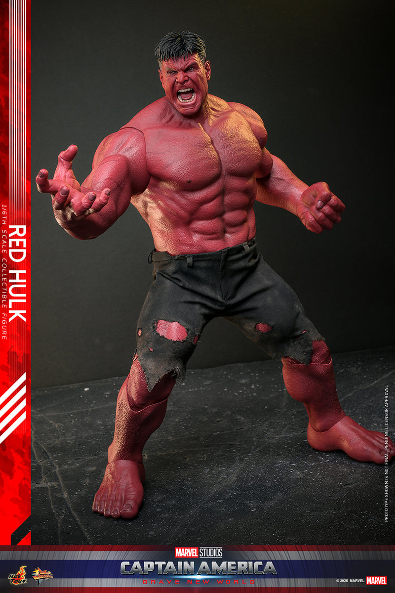 Load image into Gallery viewer, Hot Toys - Captain America: Brave New World - Red Hulk
