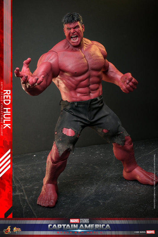Hot Toys - Captain America: Brave New World - Red Hulk