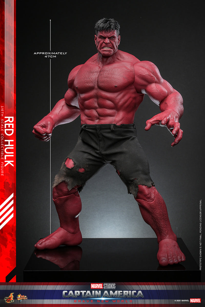 Load image into Gallery viewer, Hot Toys - Captain America: Brave New World - Red Hulk
