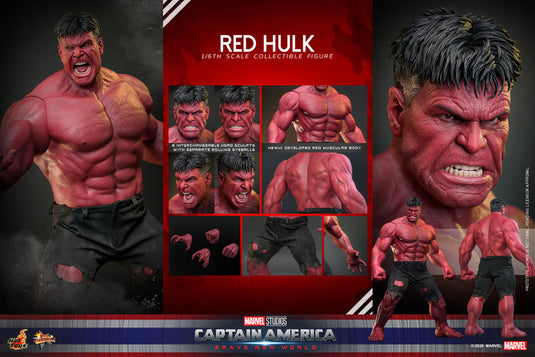 Hot Toys - Captain America: Brave New World - Red Hulk