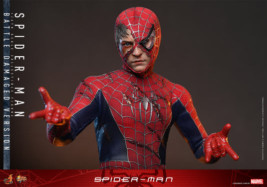 Hot Toys - Spider-Man (2002) - Spider-Man (Battle Damaged Version)