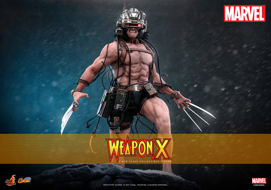 Hot Toys - Marvel Comics - Weapon X (CMS034)