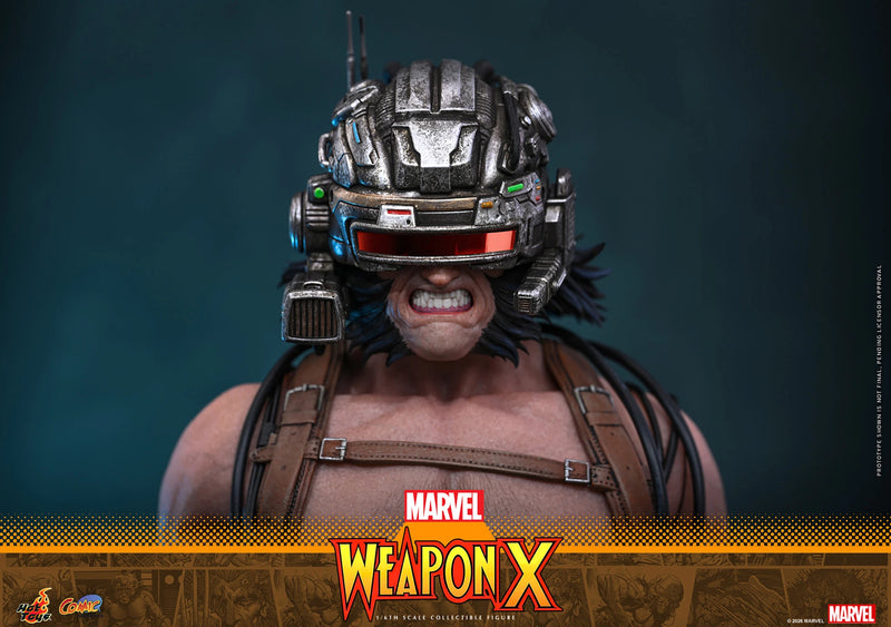Load image into Gallery viewer, Hot Toys - Marvel Comics - Weapon X (CMS034)
