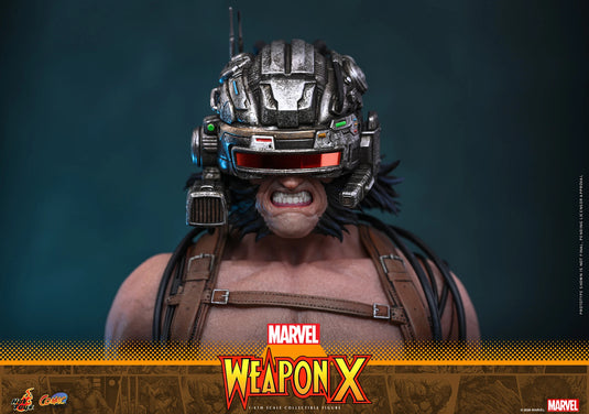 Hot Toys - Marvel Comics - Weapon X (CMS034)
