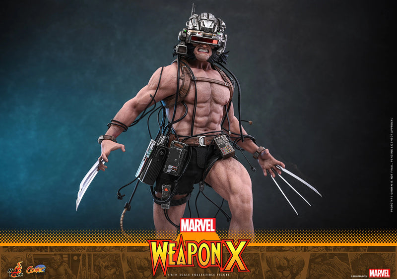 Load image into Gallery viewer, Hot Toys - Marvel Comics - Weapon X (CMS034)
